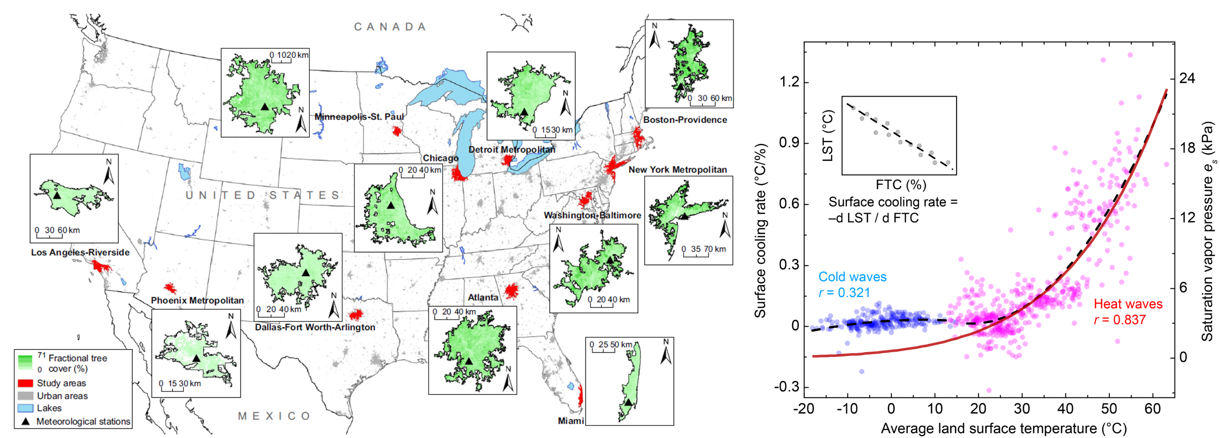 Nonlinear response of urban trees' cooling effect